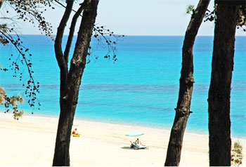 ΧΑΛΚΙΔΙΚΗ ΞΕΝΟΔΟΧΕΙΑ ΚΑΙ  ΦΩΤΟΓΡΑΦΙΕΣ - CCHALKIDIKI HOTELS AND PHOTOS