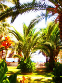 MARITA STUDIOS APARTMENTS CHANIA GREECE - ΜΑΡΙΤΑ ΦΘΗΝΑ ΣΤΟΥΝΤΙΟΣ ΔΙΑΜΕΡΙΣΜΑΤΑ ΧΑΝΙΑ ΚΡΗΤΗ