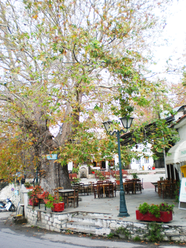 ΠΗΛΙΟ ΦΩΤΟΓΡΑΦΙΕΣ ΠΗΛΙΟ