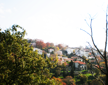 ΠΗΛΙΟ ΦΩΤΟΓΡΑΦΙΕΣ ΠΗΛΙΟ