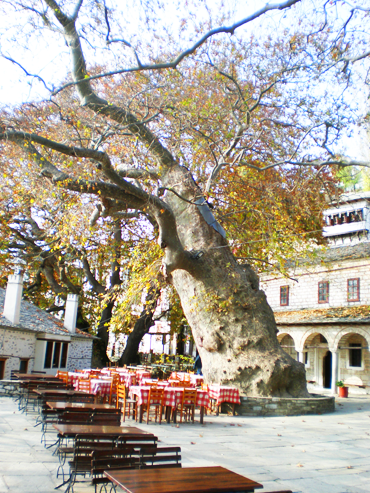 ΠΗΛΙΟ ΦΩΤΟΓΡΑΦΙΕΣ ΠΗΛΙΟ