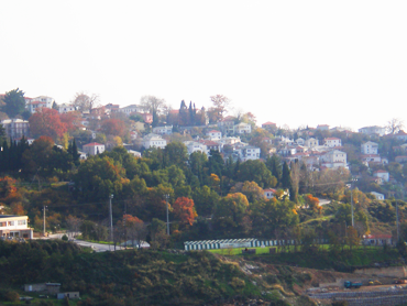 ΠΗΛΙΟ ΦΩΤΟΓΡΑΦΙΕΣ ΠΗΛΙΟ