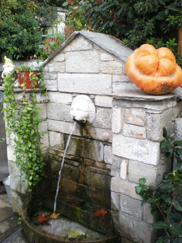 ΠΗΛΙΟ ΦΩΤΟΓΡΑΦΙΕΣ ΠΗΛΙΟ