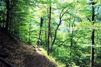 ΝΟΜΟΣ ΠΙΕΡΙΑΣ - PIERIA, GREECE, ω