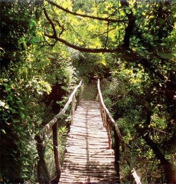 ΚΑΡΛΟΒΑΣΙ ΣΑΜΟΥ