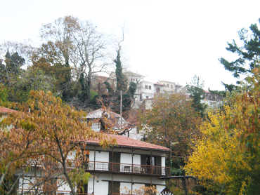 ΠΗΛΙΟ ΦΩΤΟΓΡΑΦΙΕΣ ΠΗΛΙΟ